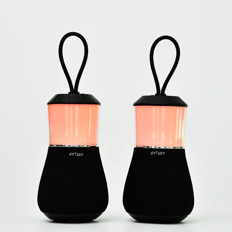 portable wireless speaker